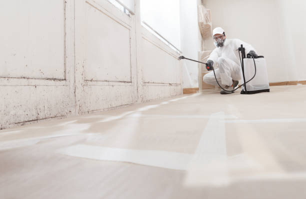 24/7 Emergency Mold Remediation experts in Bellvue, CO
